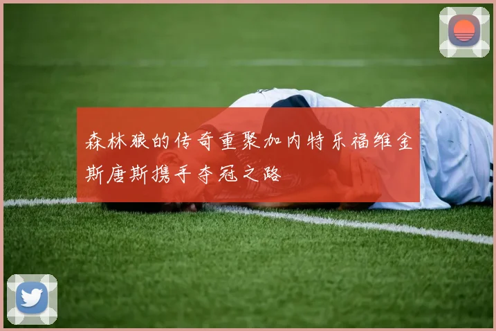 森林狼的传奇重聚加内特乐福维金斯唐斯携手夺冠之路