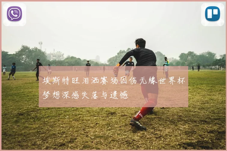 埃斯特旺泪洒赛场因伤无缘世界杯梦想深感失落与遗憾