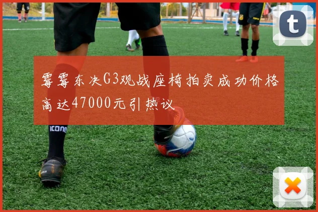 霉霉东决G3观战座椅拍卖成功价格高达47000元引热议